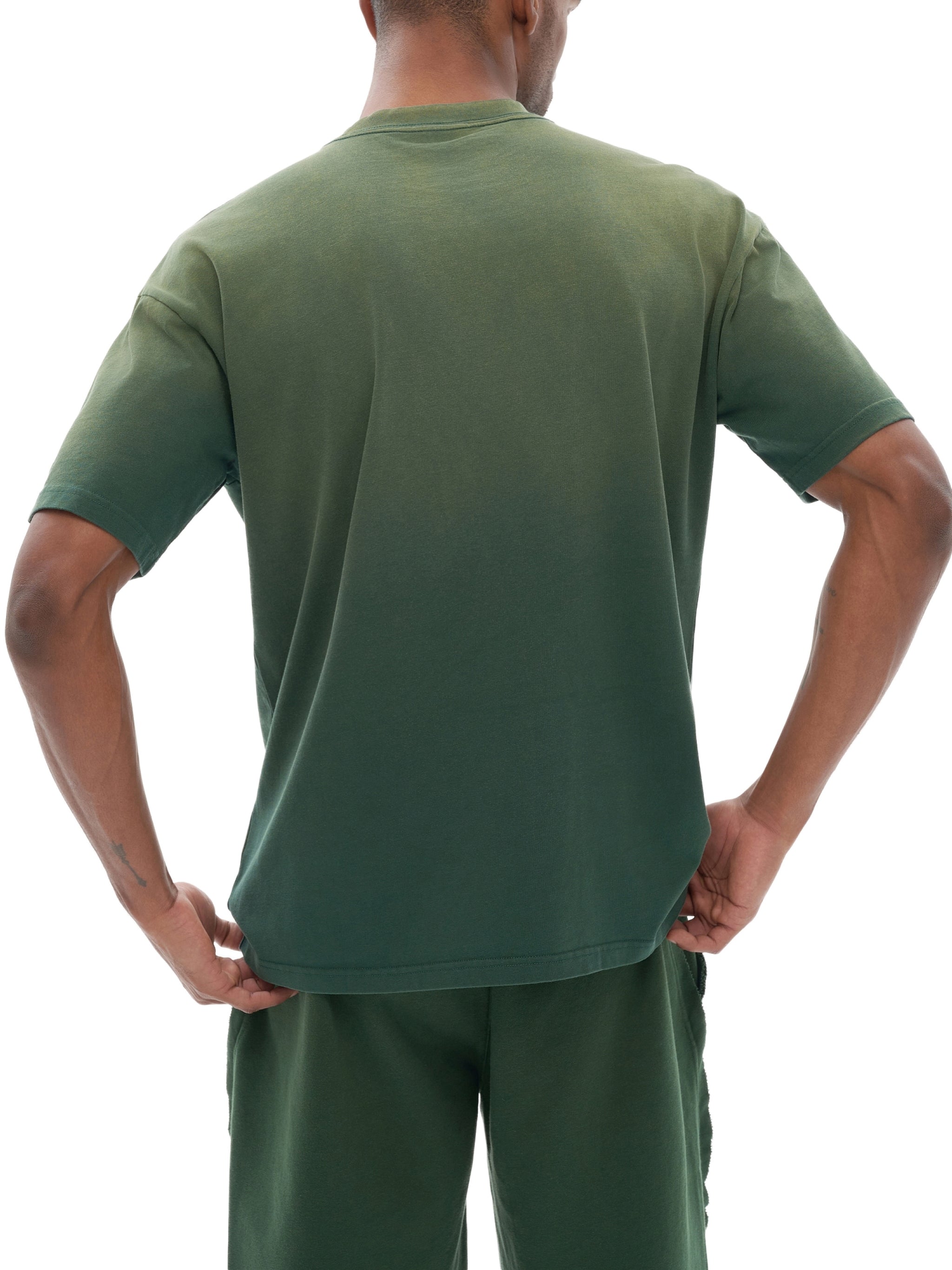 Tiger Stripe Gradient Washed T-Shirt