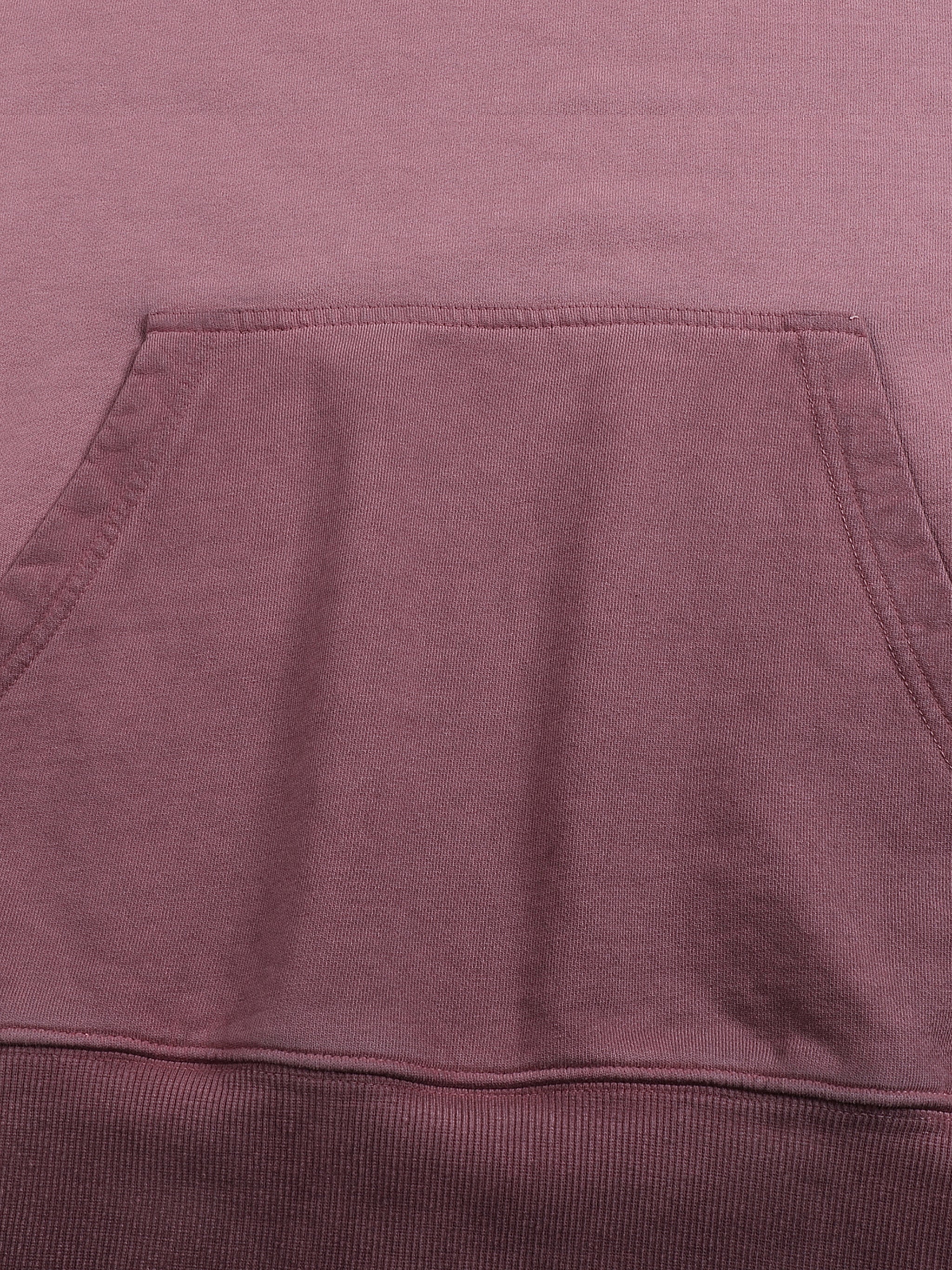 Ombre Stone Washed Colorpointed Hoodie