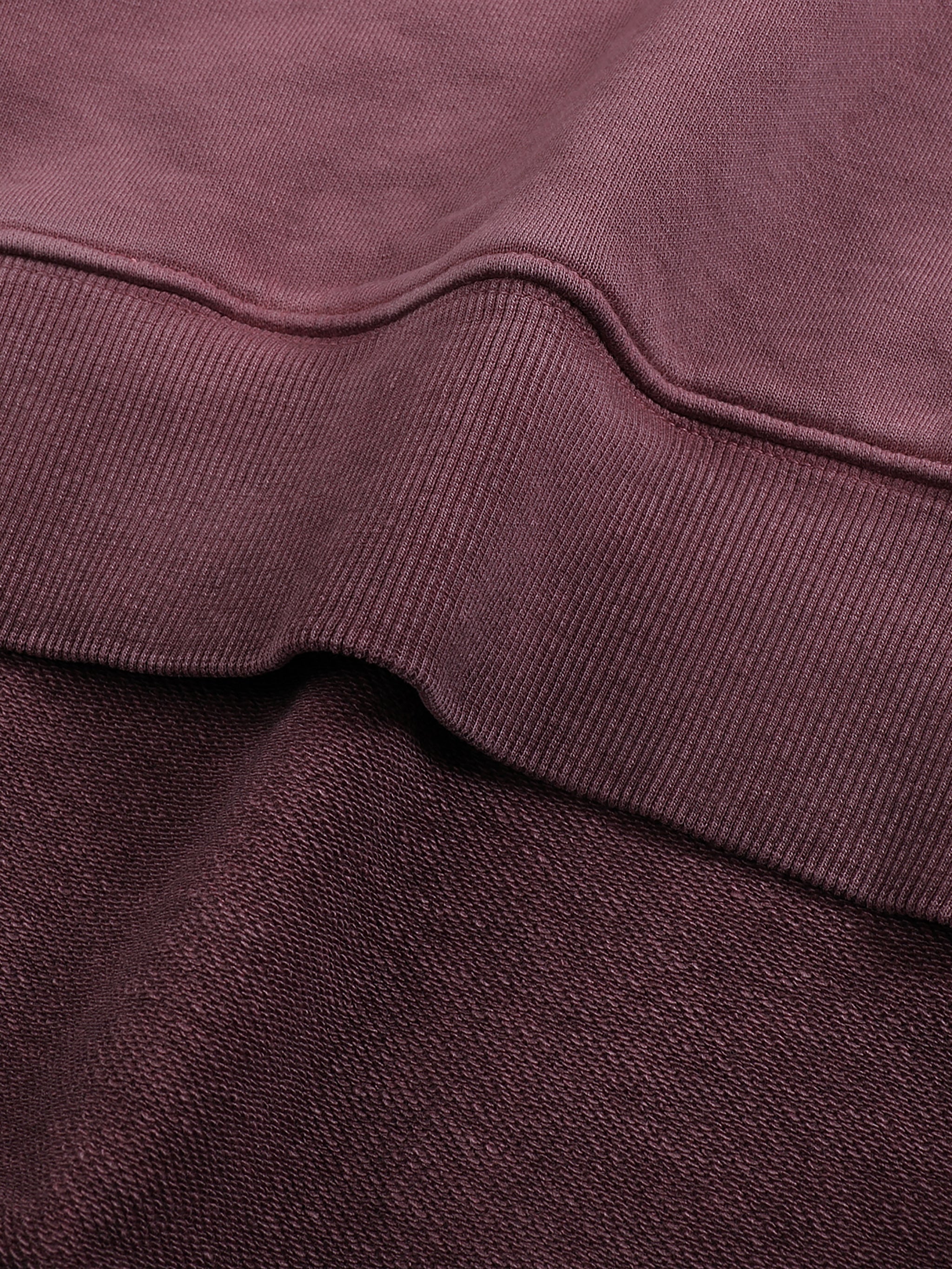 Ombre Stone Washed Colorpointed Hoodie