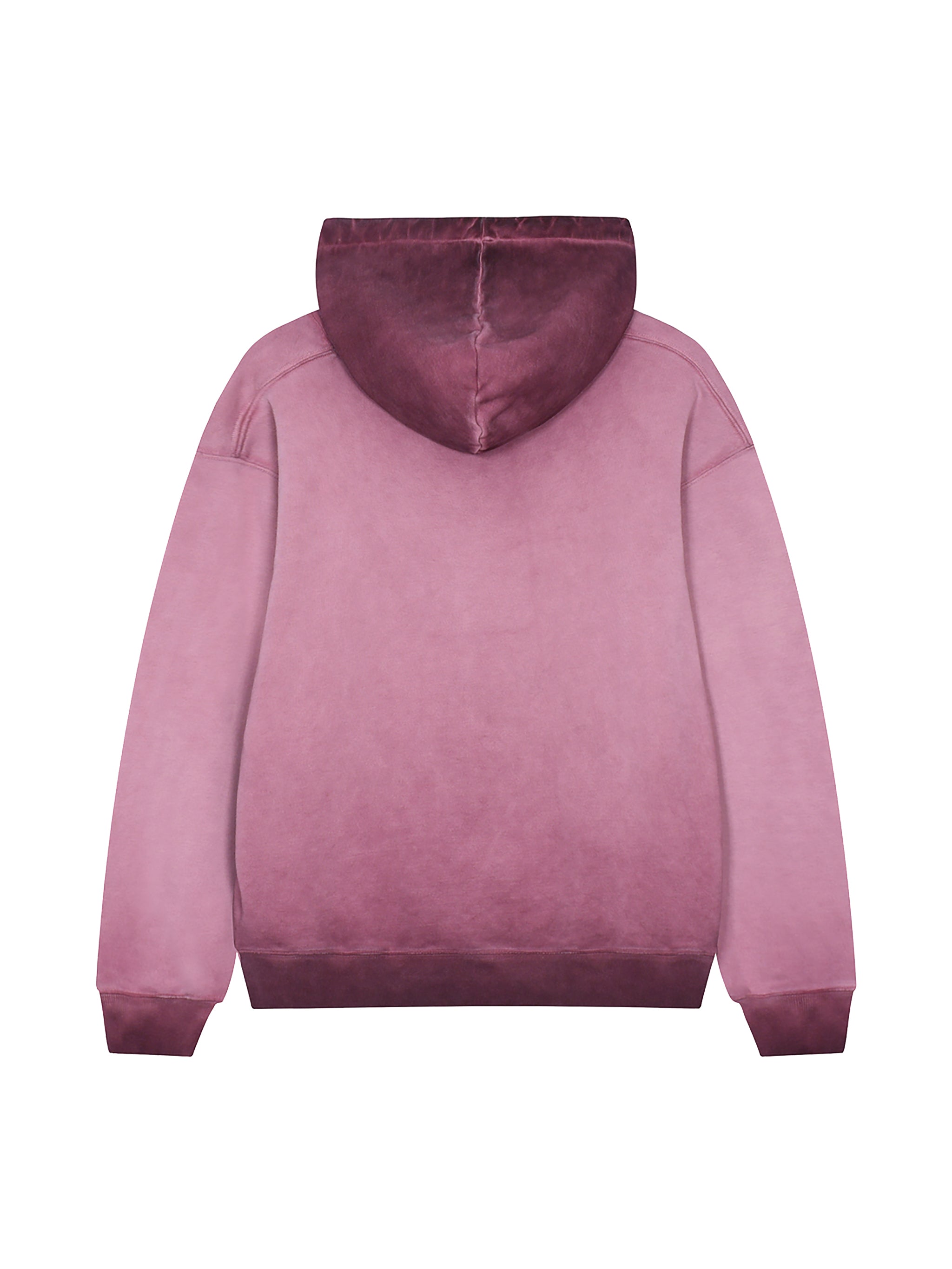 Ombre Stone Washed Colorpointed Hoodie